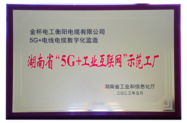 金杯电缆获评湖南省“5G+工业互联网”示范工厂 互联网信息服务赋能智造升级